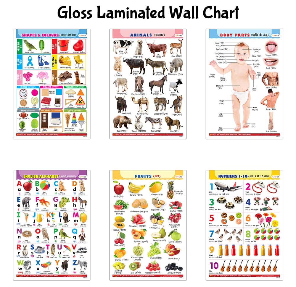 Childrens Gloss Laminated Wall Charts : Alphabet, Fruits, Animals, Body Parts, Numbers and Shapes & Colours  Learning Posters 