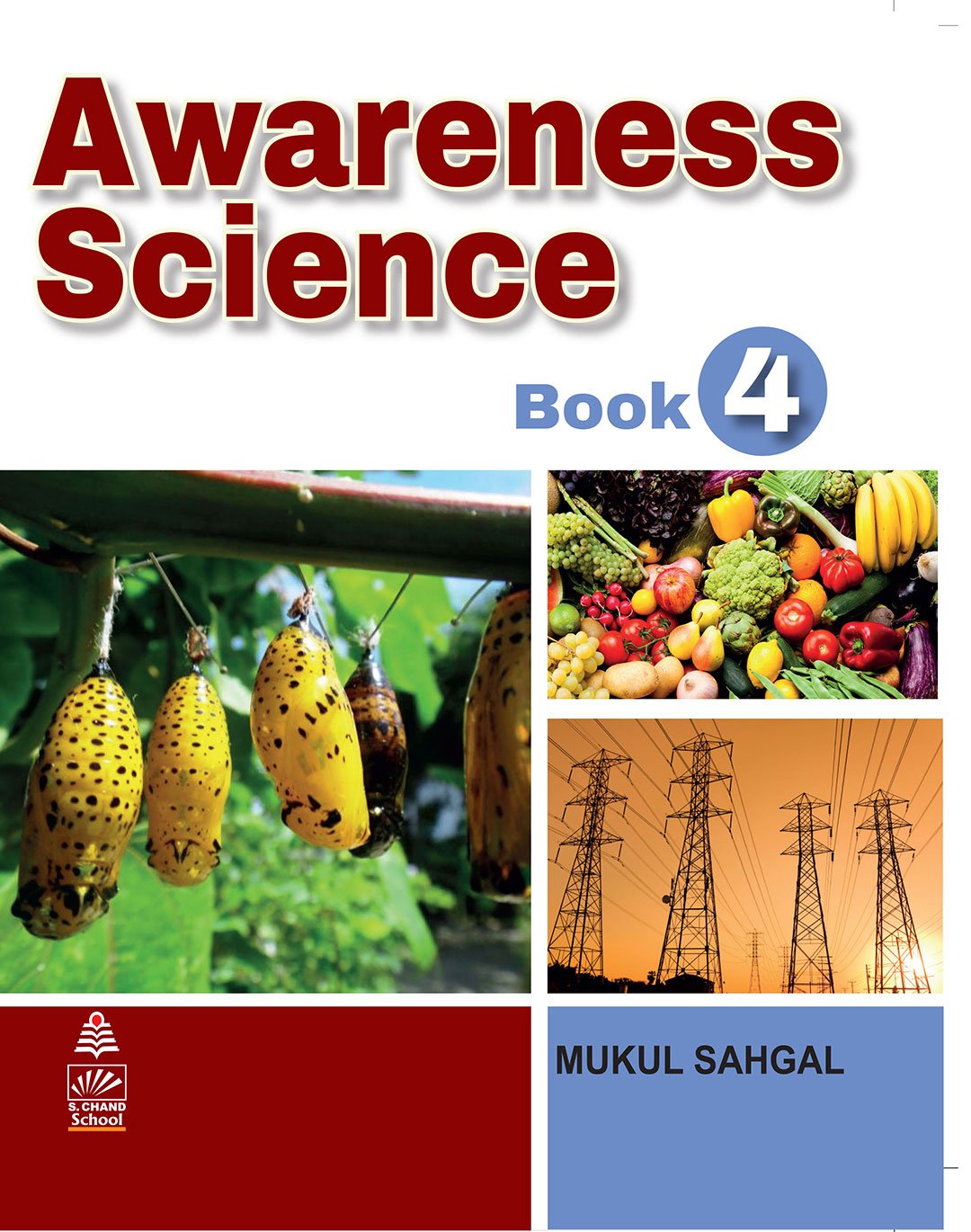 AWARENESS SCIENCE BOOK 4