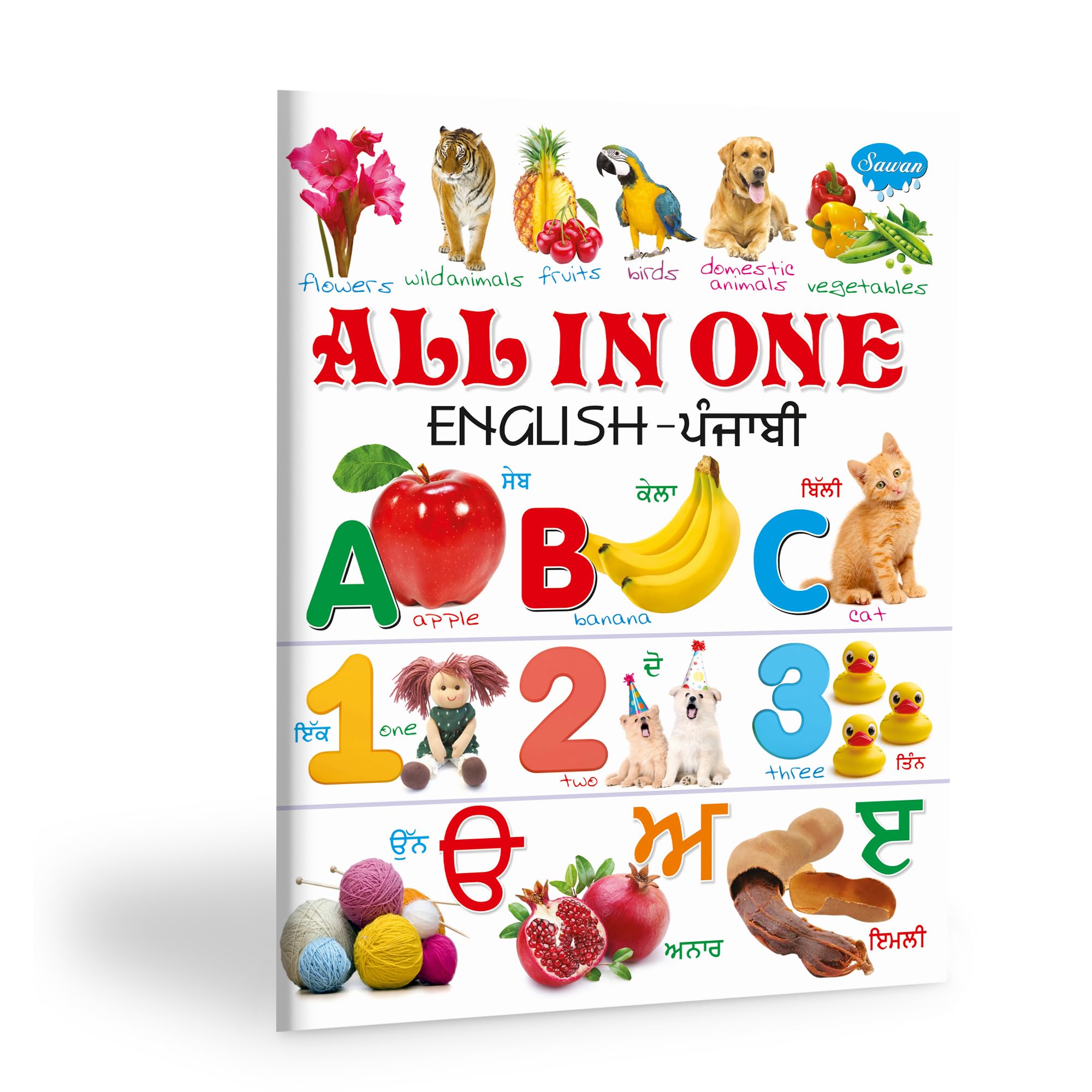 All In One (EnglishPunjabi)