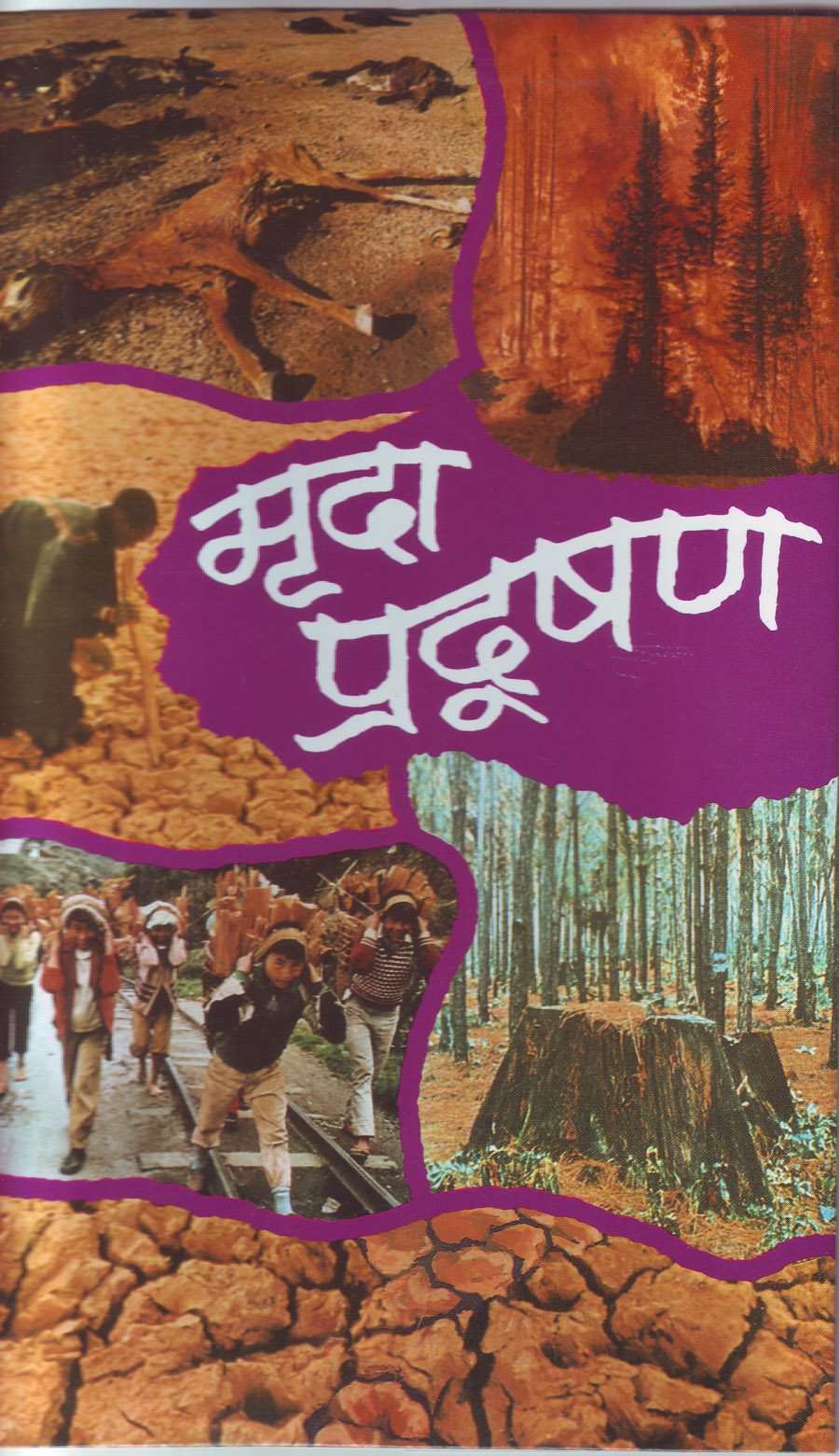 Mrida Pradushan