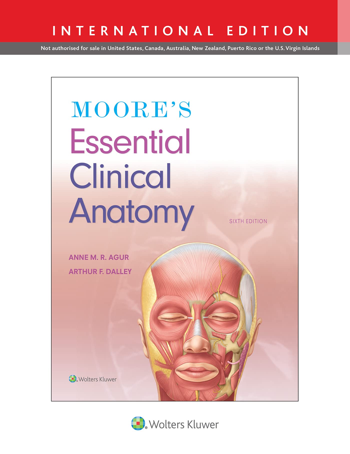 MOORES ESSENTIAL CLINICAL ANATOMY 6ED (IE) (HB 2019)