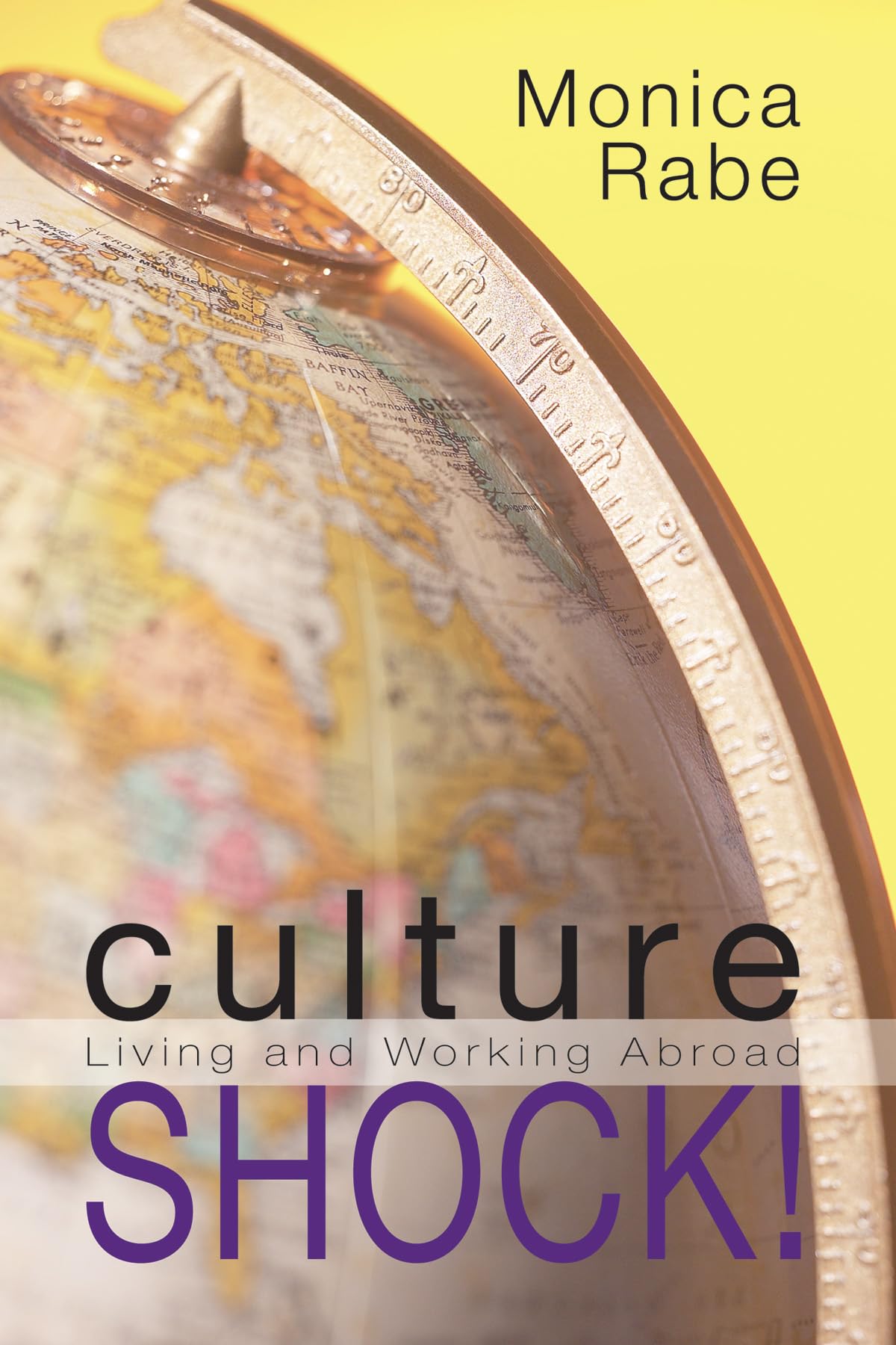 Culture Shock!: Living and Working Abroad