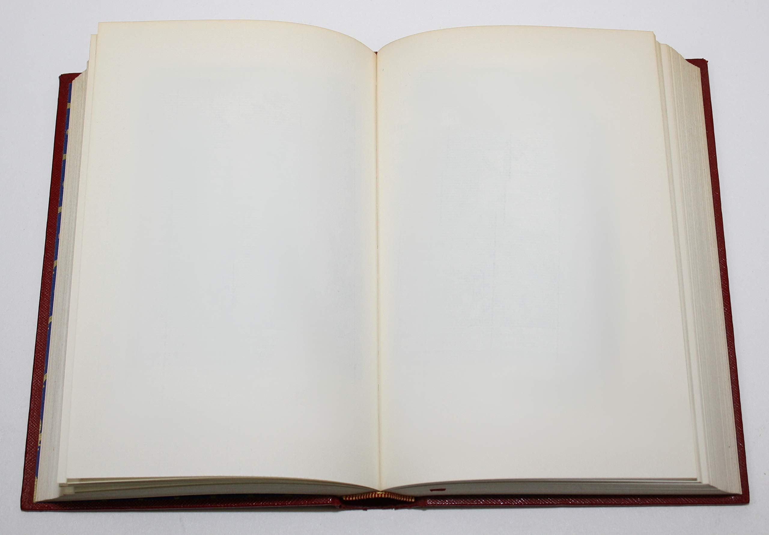 Out of Syllabus: Poems