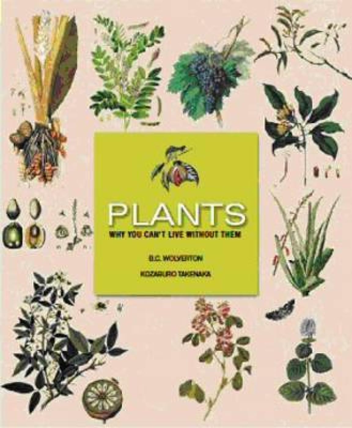 Plants: Why You Cant Live Without Them