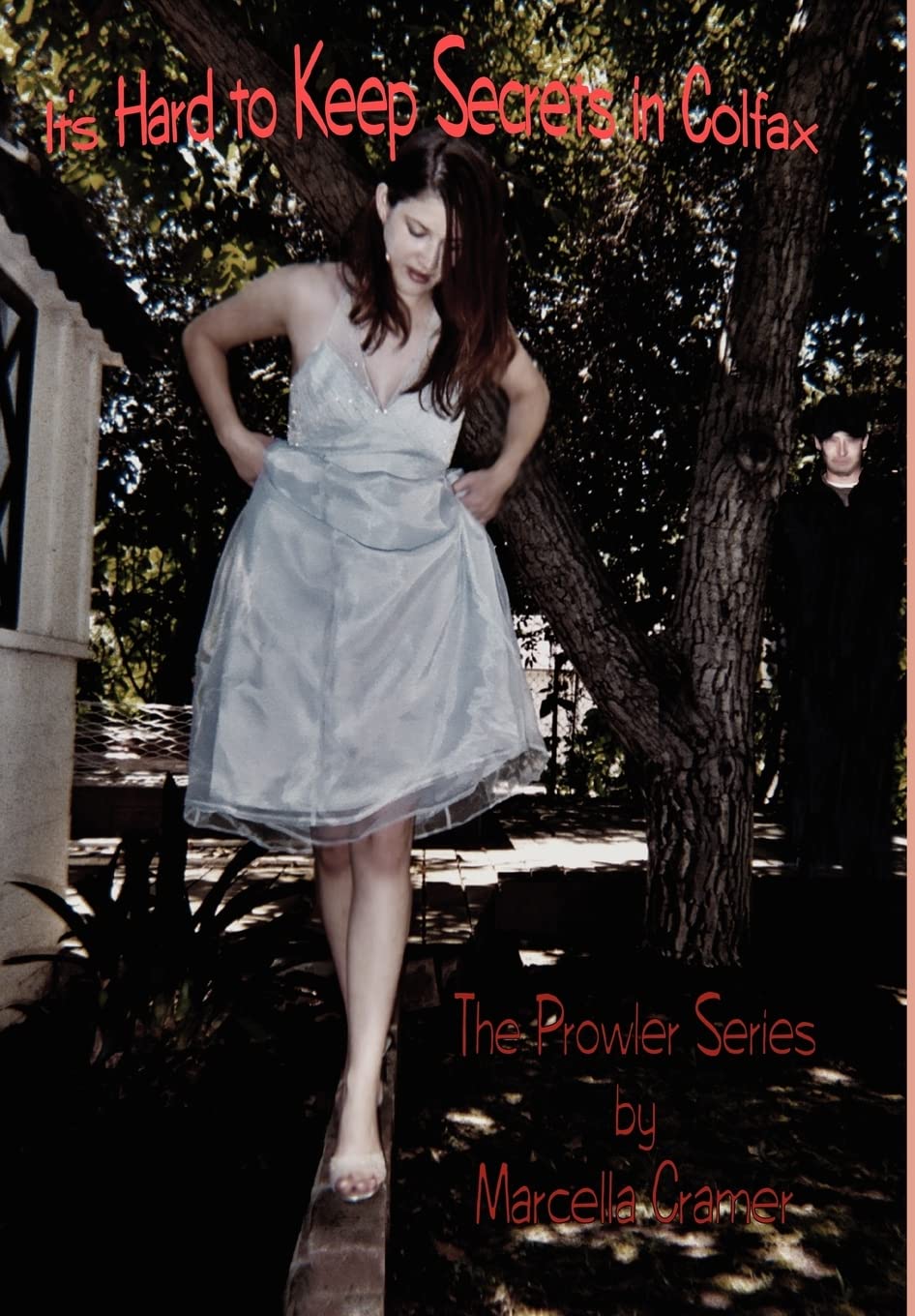 Its Hard to Keep Secrets in Colfax: The Prowler Series