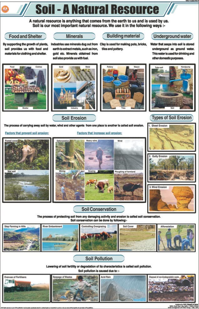 Stg22 | Teachingnest | Soil  A Natural Resource Chart (58X90 Cm) | English | General Science Charts | With Rollers [Wall Chart]