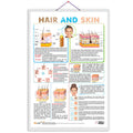 HAIR AND SKIN CHART | Exploring Hair and Skin: Comprehensive Anatomy Chart
