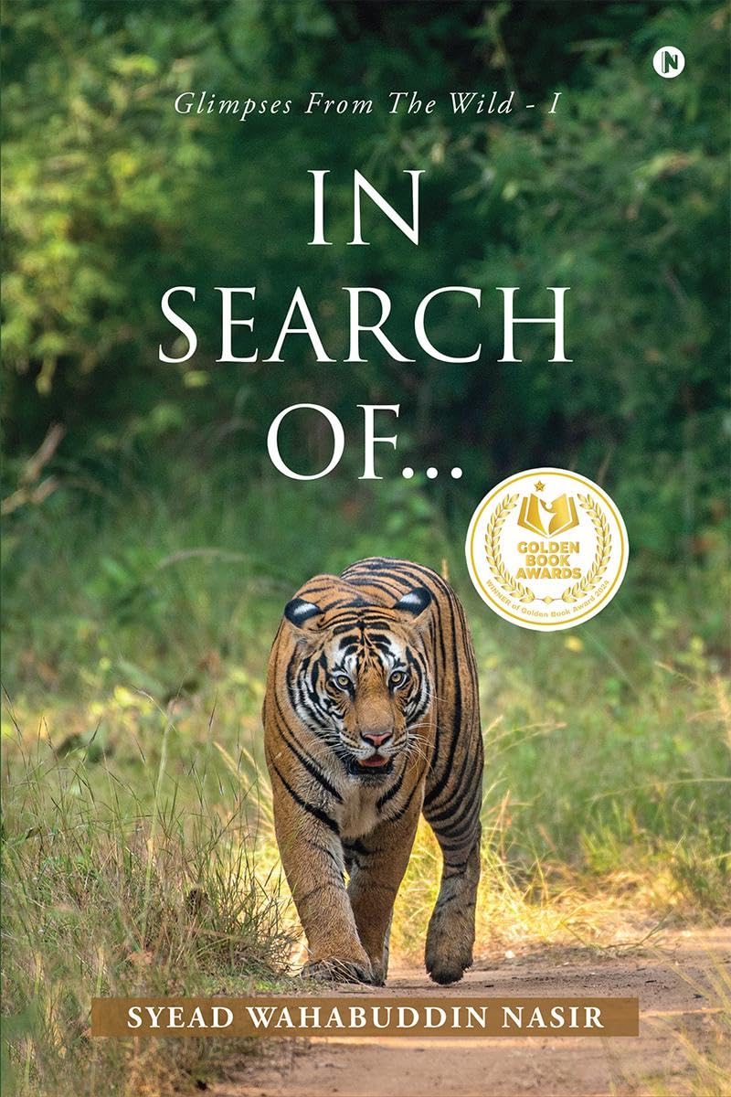 IN SEARCH OF