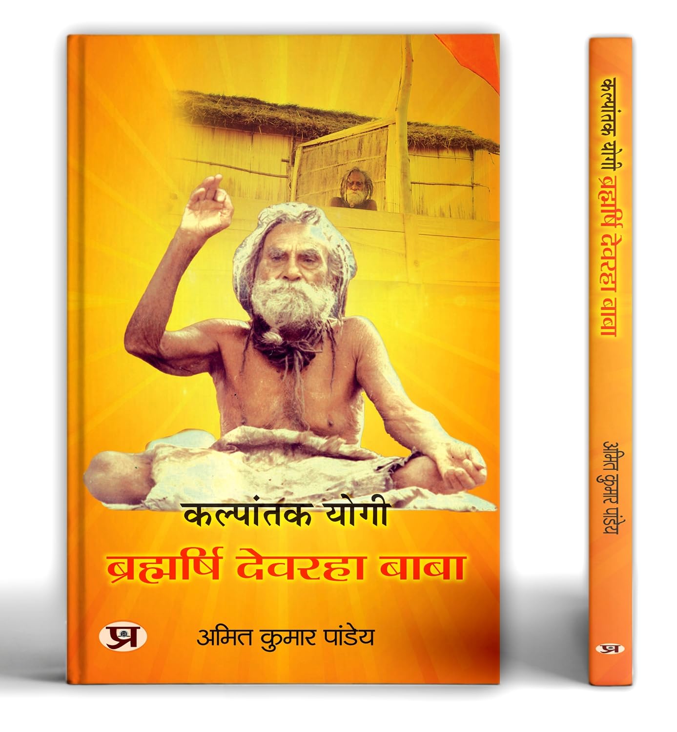 Kalpantak Yogi Brahmarishi Devraha Baba Jivan Parichay Book In Hindi