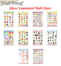 Children Learning Poster Set : Alphabet, Fruits, Vegetables, Animals, Birds &more Glossy Laminated EnglishHindi Educational Cha