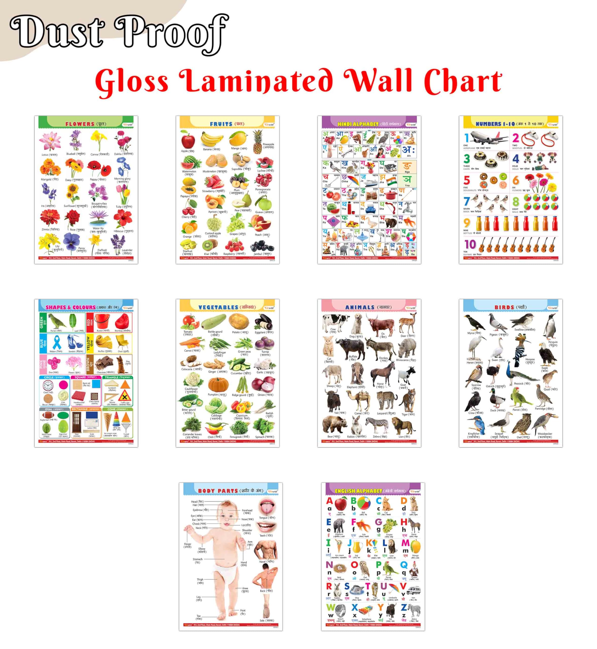 Children Learning Poster Set : Alphabet, Fruits, Vegetables, Animals, Birds &more Glossy Laminated EnglishHindi Educational Cha