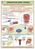 Hp31S | Teachingnest | Contraception (Birth Control) Chart 70X100 Cm | English | Human Physiology Chart | Synthetic | Wall Stick