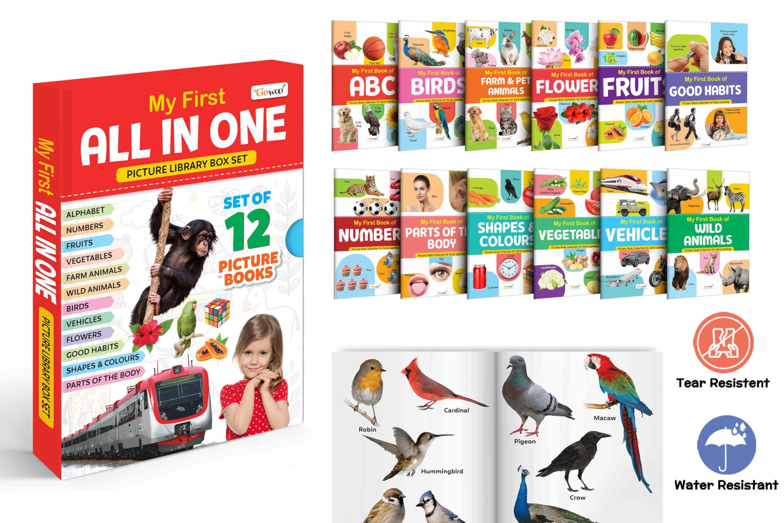 My First All in One Picture Library Box for Kids (Red Edition) : Collection of early learning books, Preschool Kids Book, 12 Lea
