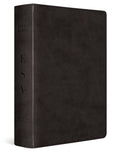 Esv Study Bible