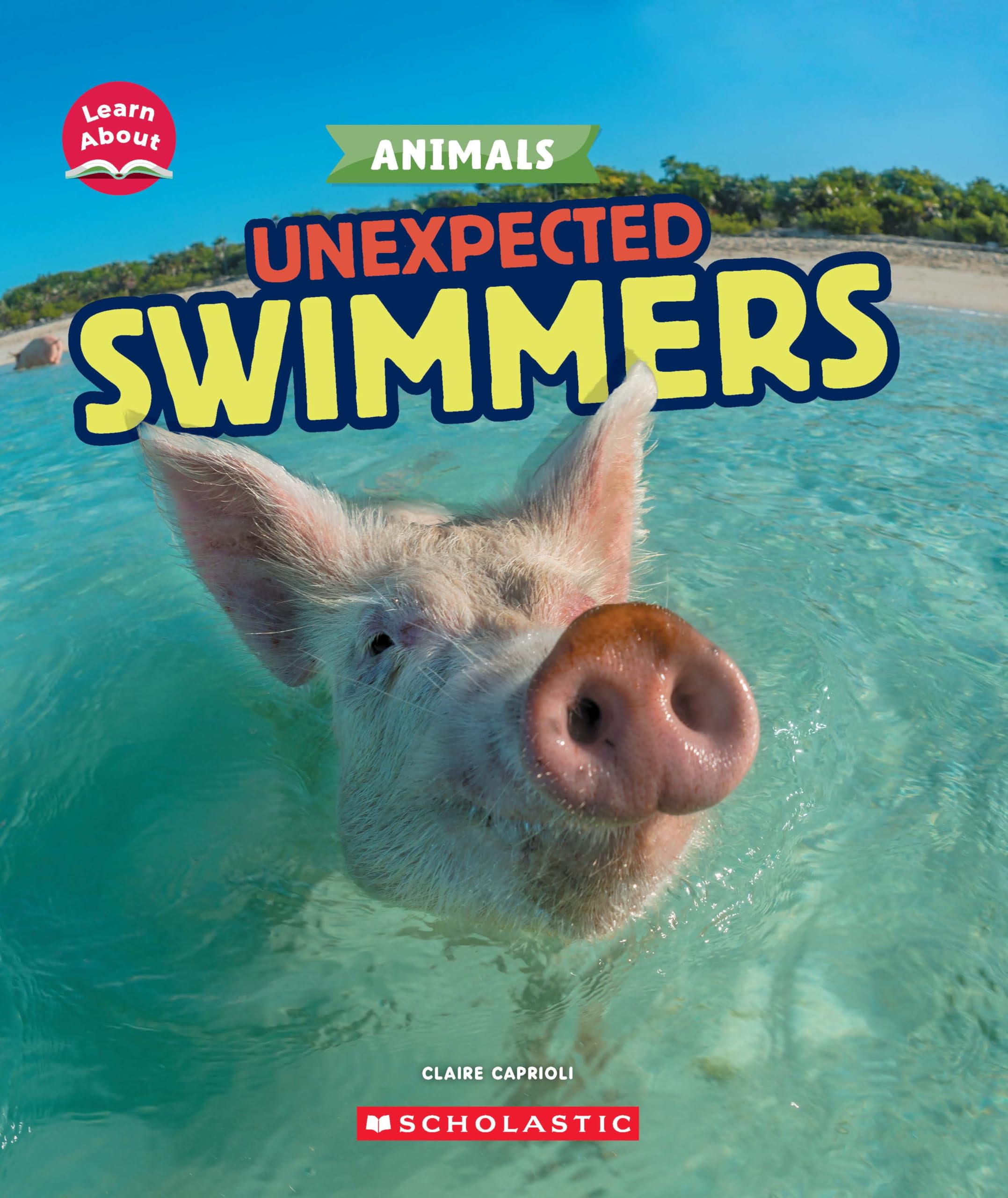 Learn About Animals: Unexpected Swimmers