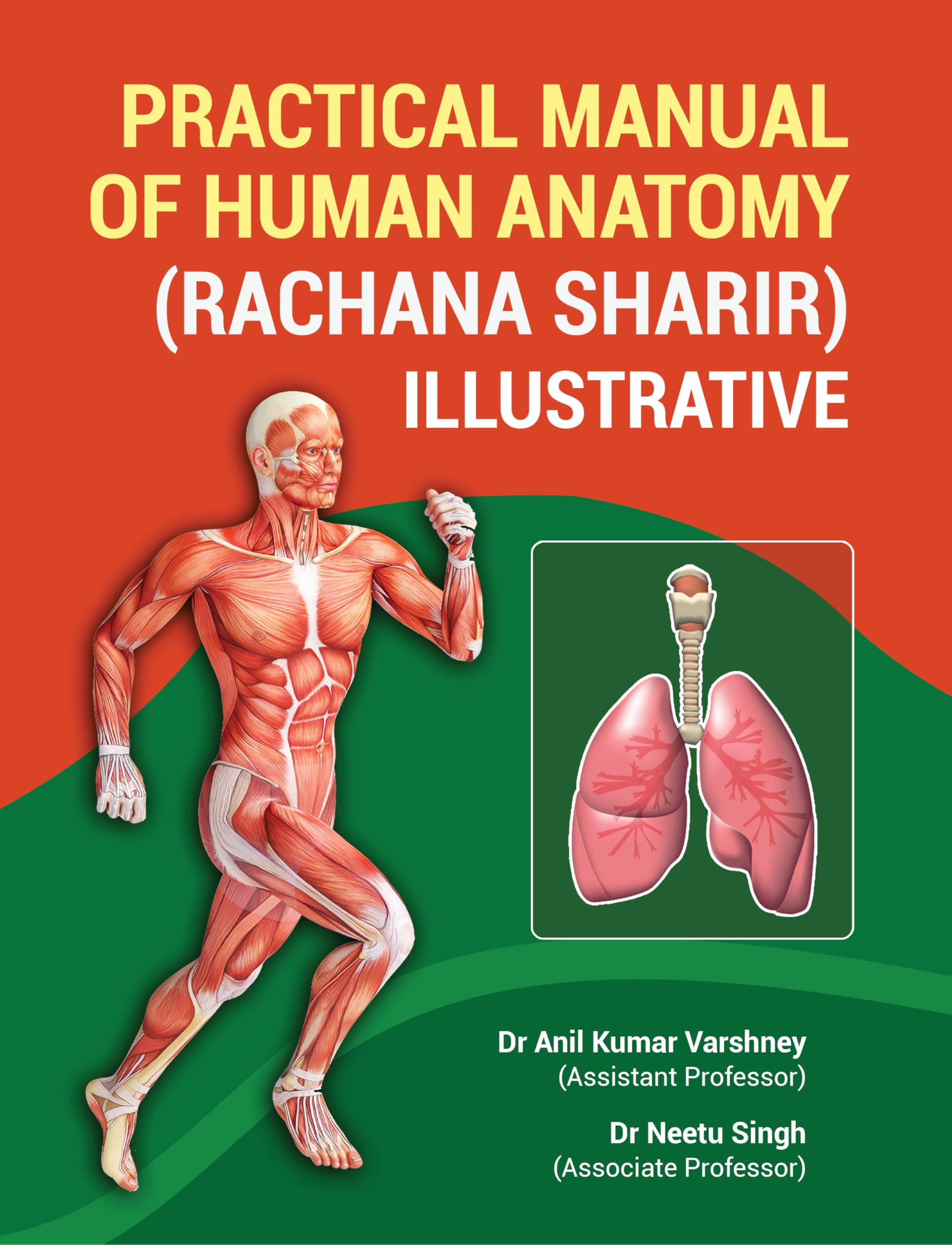 Practical Manual of Human Anatomy (Rachana Sharir) illustrative