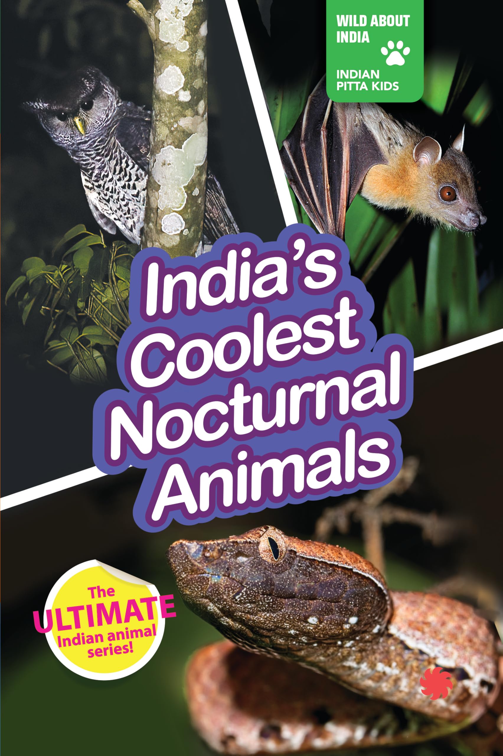 Indias Coolest Nocturnal Animals