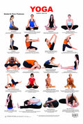 Yoga Chart  2 Laminated Educational Wall Chart | Kids Learning Poster | Colourful Illustrations Of Yoga Poses, BothSide Lamina