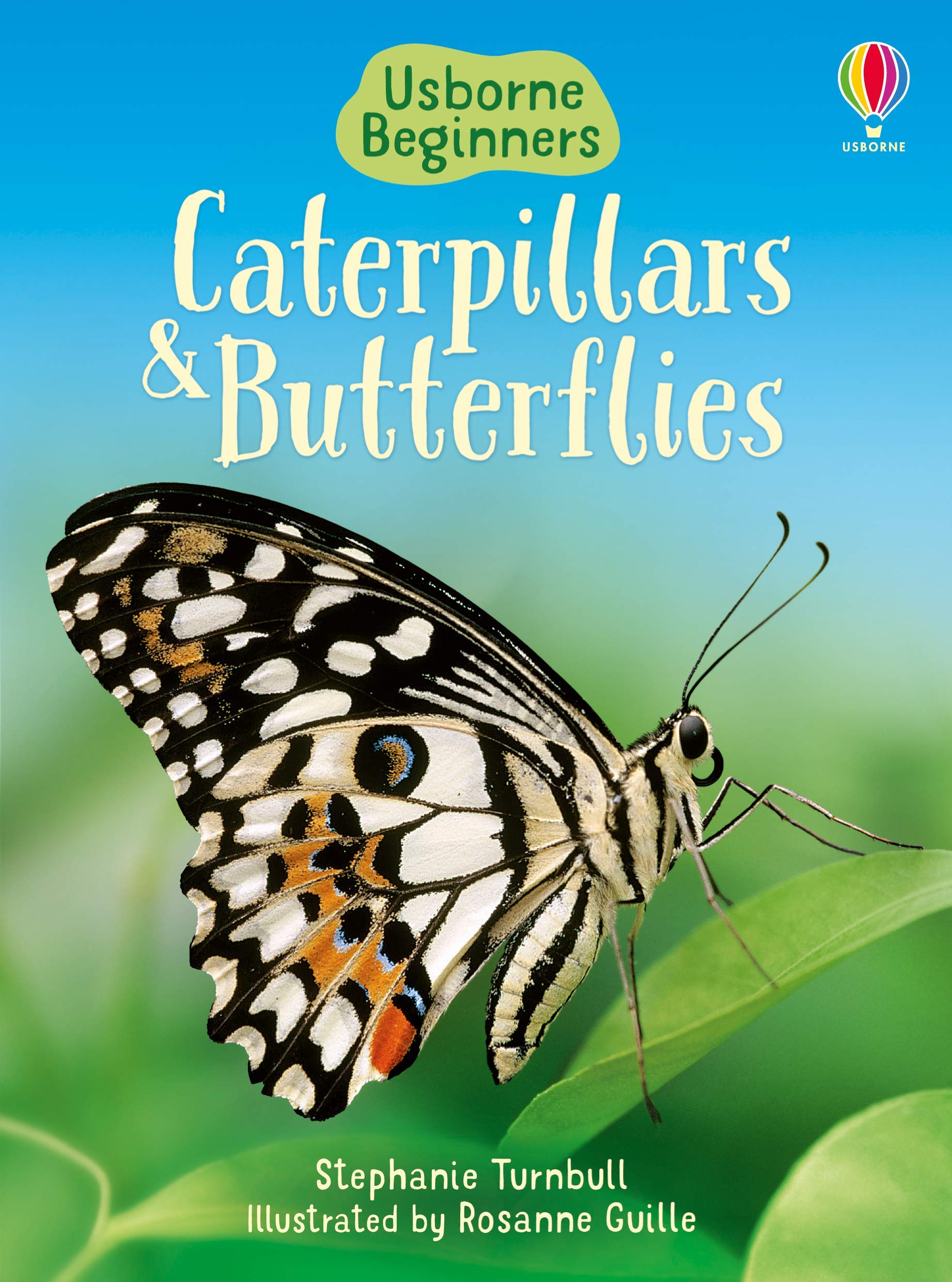 Caterpillars And Butterflies  Usborne Beginners