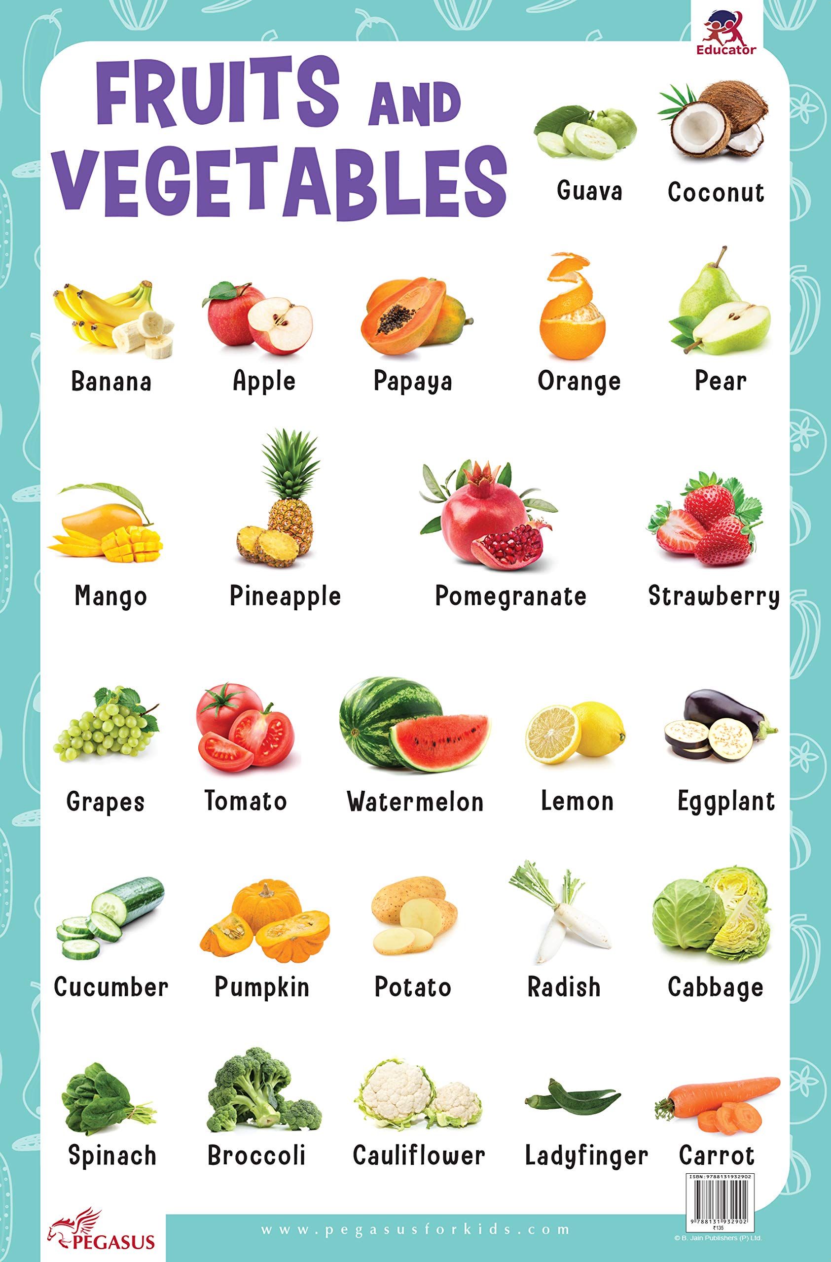 Fruits & Vegetables  Thick Laminated Preschool Chart