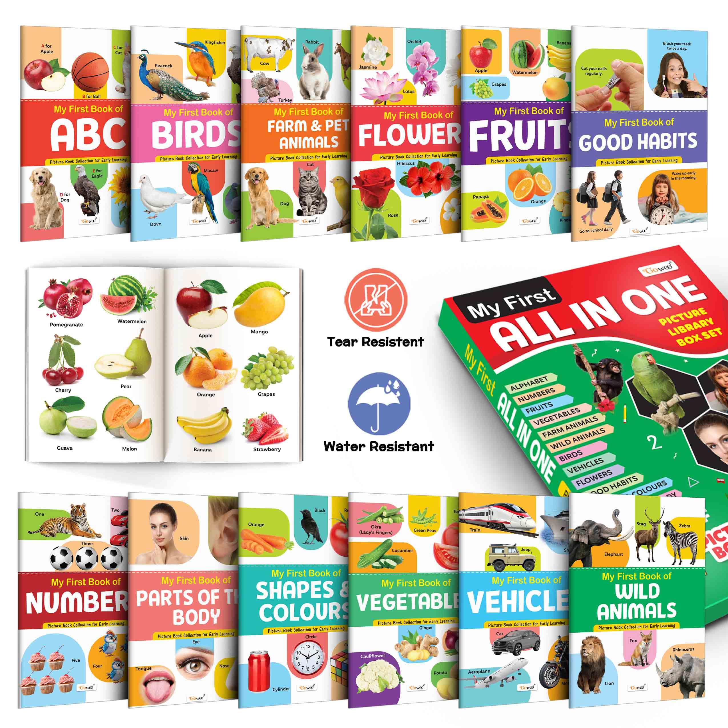 Lkg Class Picture Book Box Set (Green Edition) : Books For Children, All In One essential Book, Gift Set For Kids My First All i