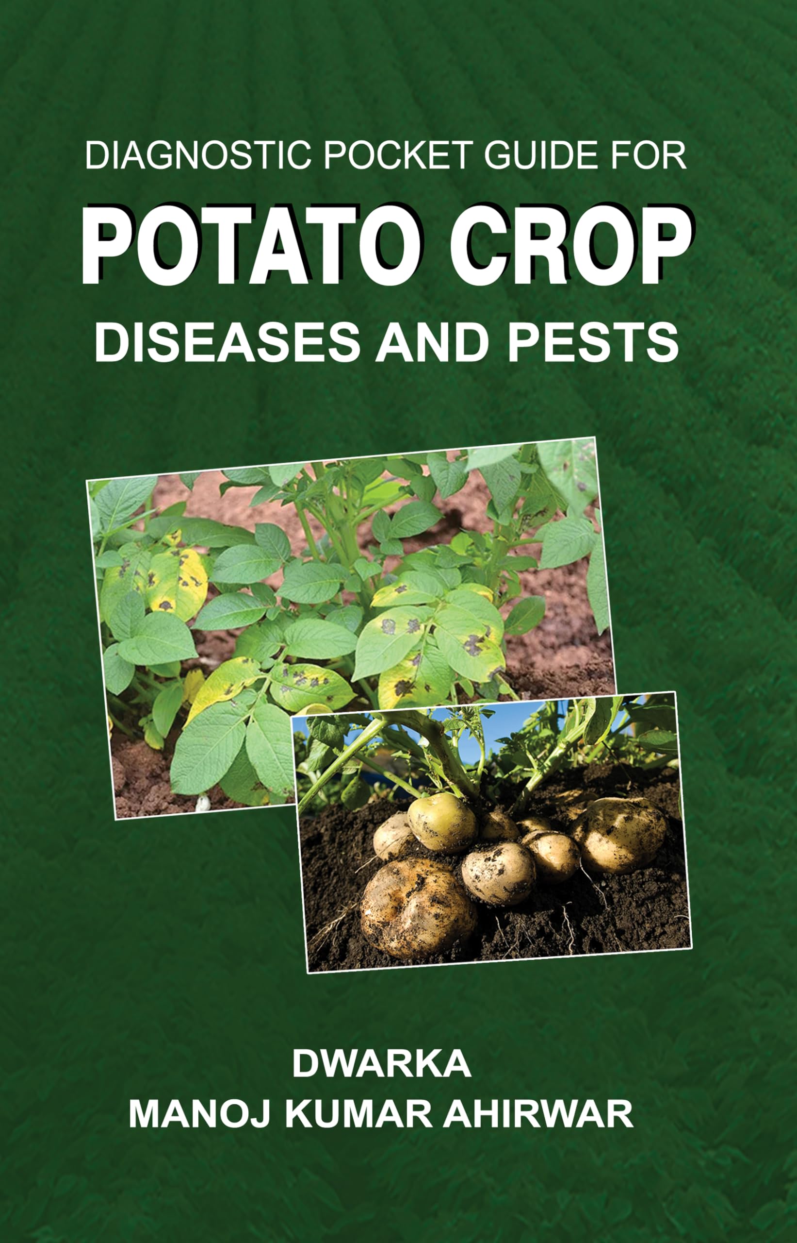 Diagnostic Pocket Guide For Potato Crop Diseases and Pests