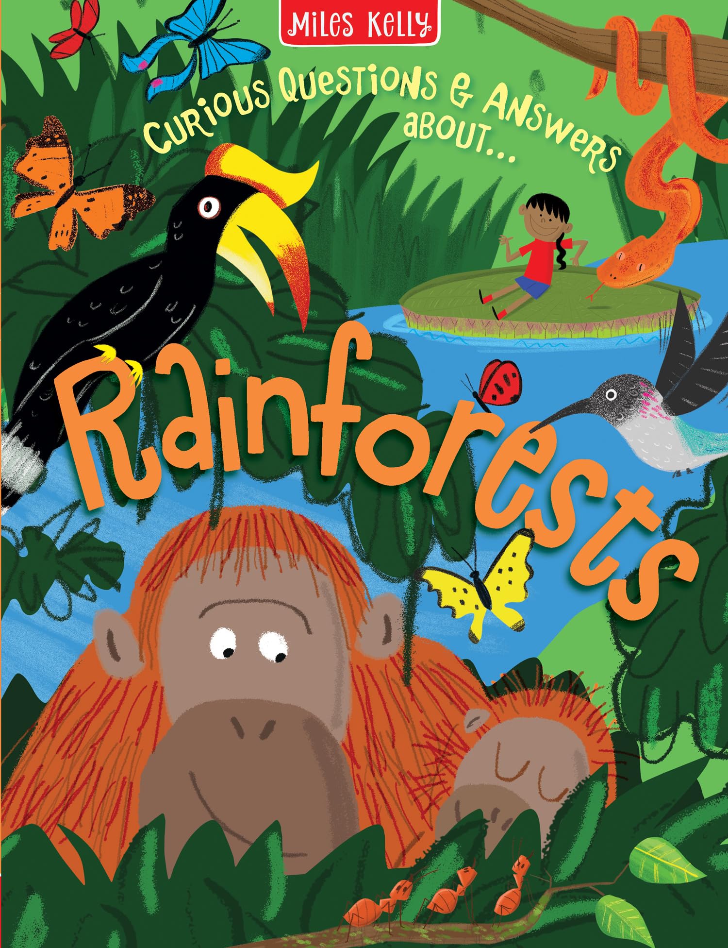 Rainforests (Curious Questions & Answers about)