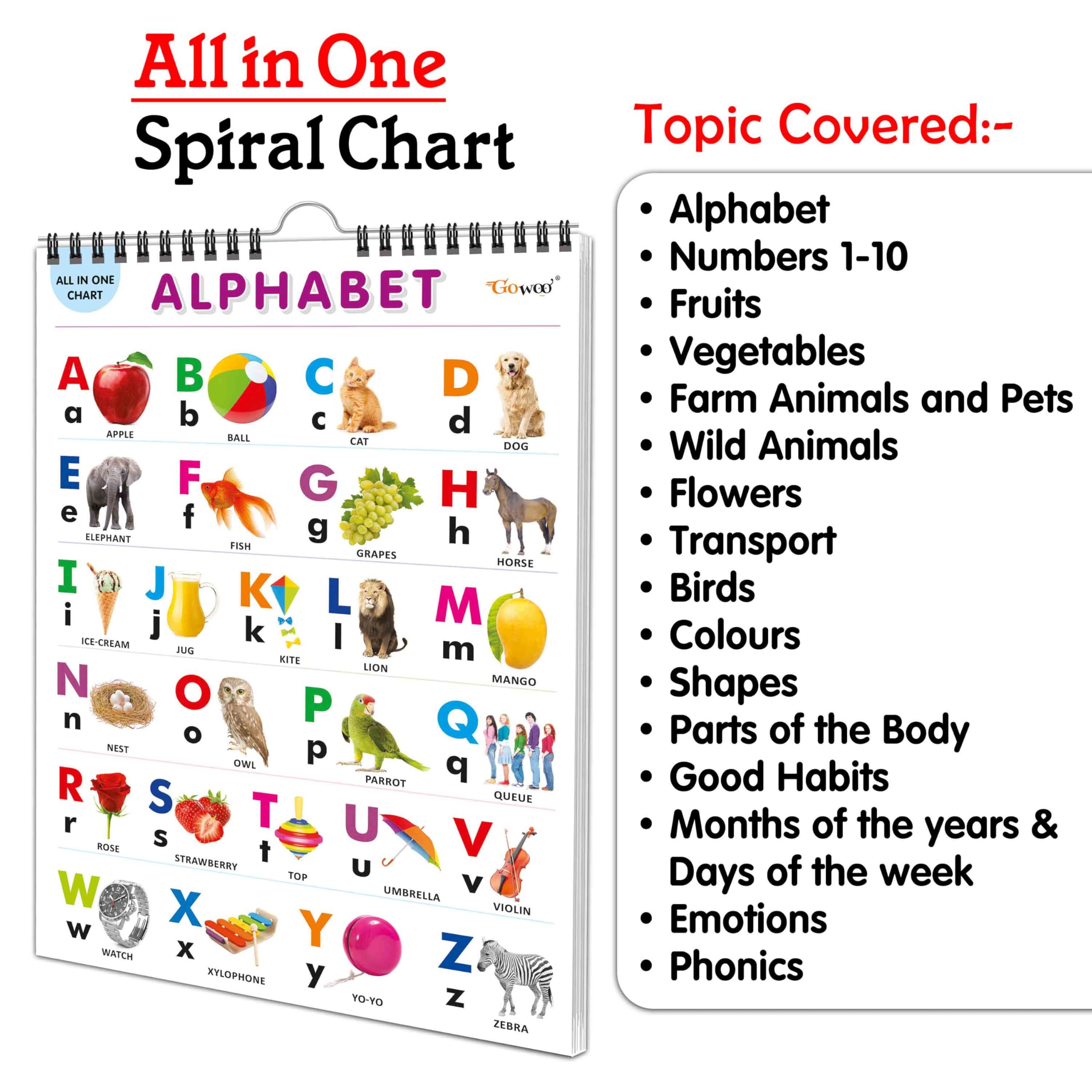 Toddlers learning library : Learning Chart for kids, My First ALL IN ONE SPIRAL CHART With 16 Topics, birthday gifts for Toddler