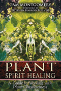 Plant Spirit Healing: A Guide to Working with Plant Consciousness