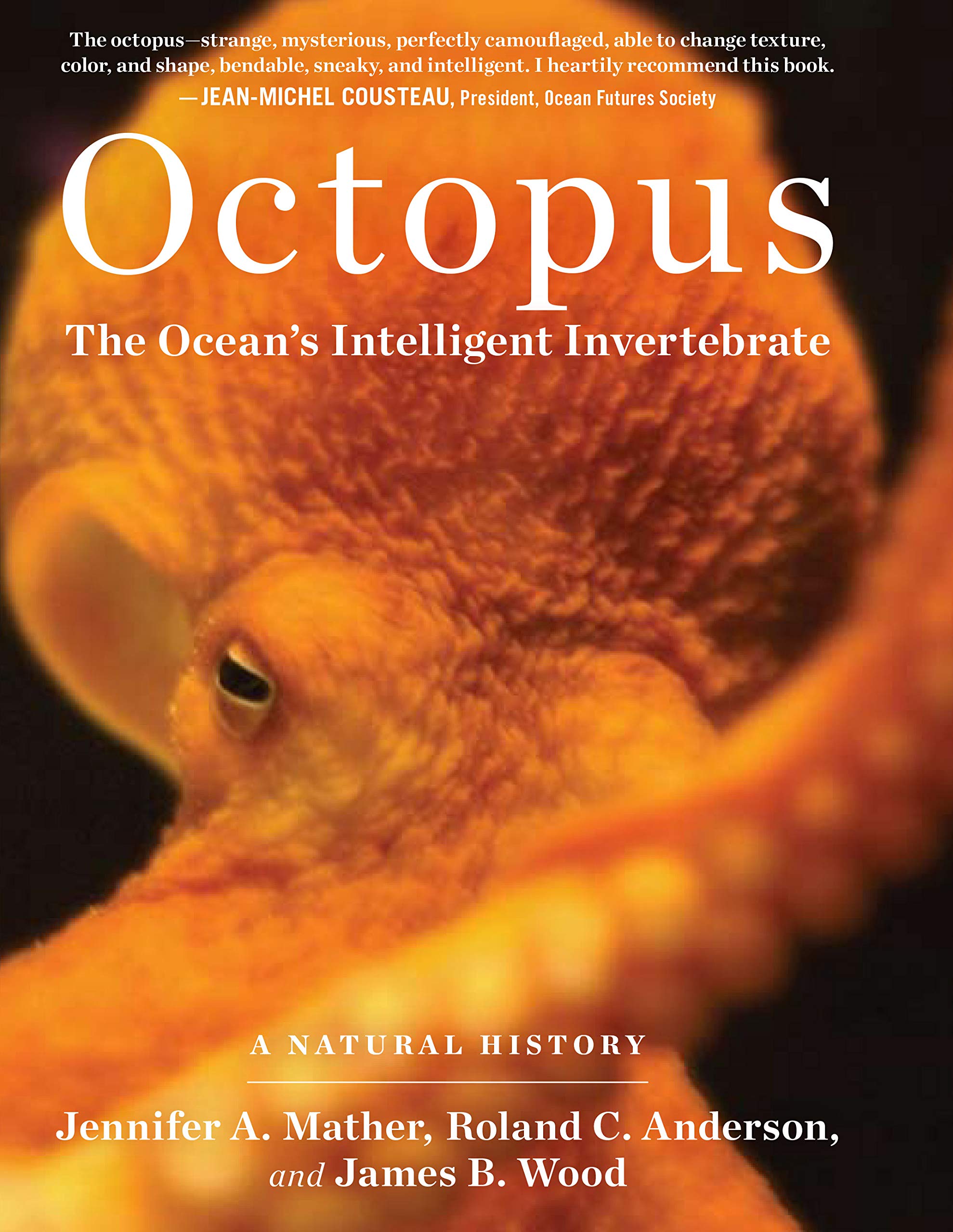 Octopus: The Oceans Intelligent Invertebrate