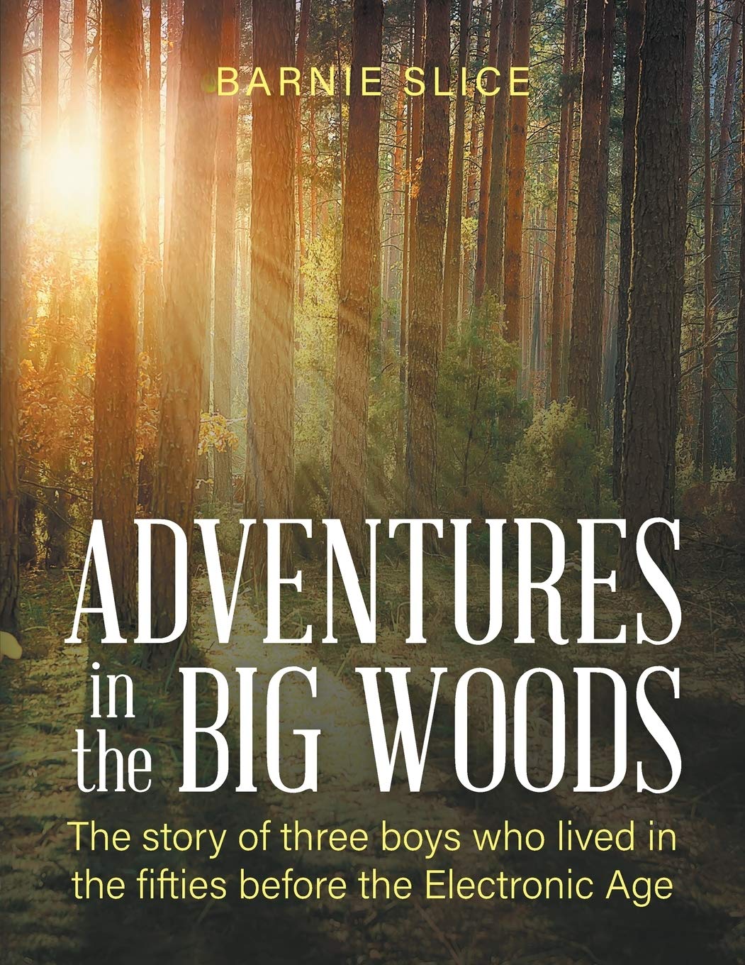 Adventures In The Big Woods
