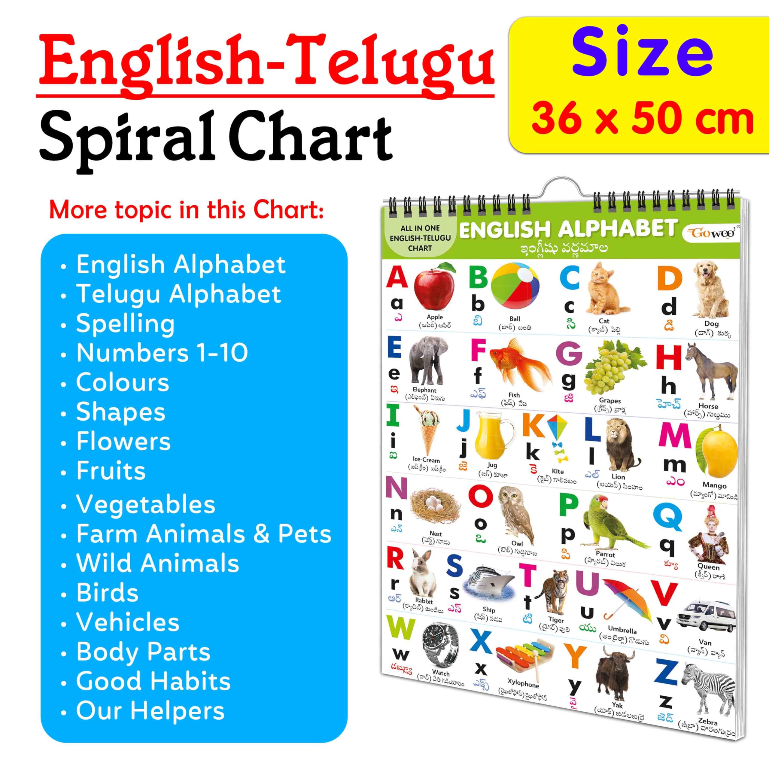 My First ALL IN ONE SPIRAL CHART ENGLISHTELUGU : Collection of early learning Chart, Preschool Kids Chart, 16 topics Learning C