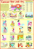 Cancer Chart