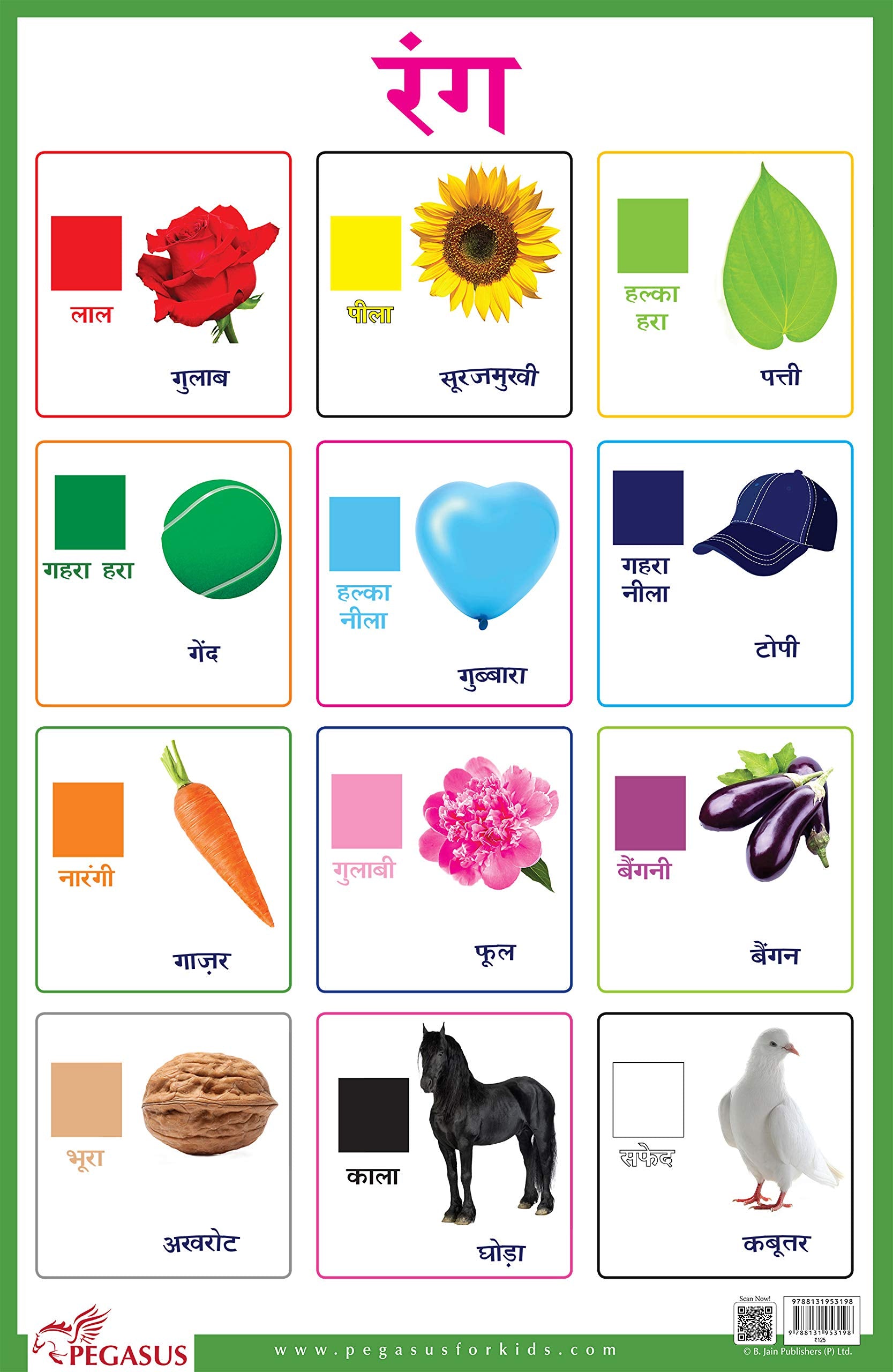Rang Hindi Colours  Thick Laminated Primary Chart