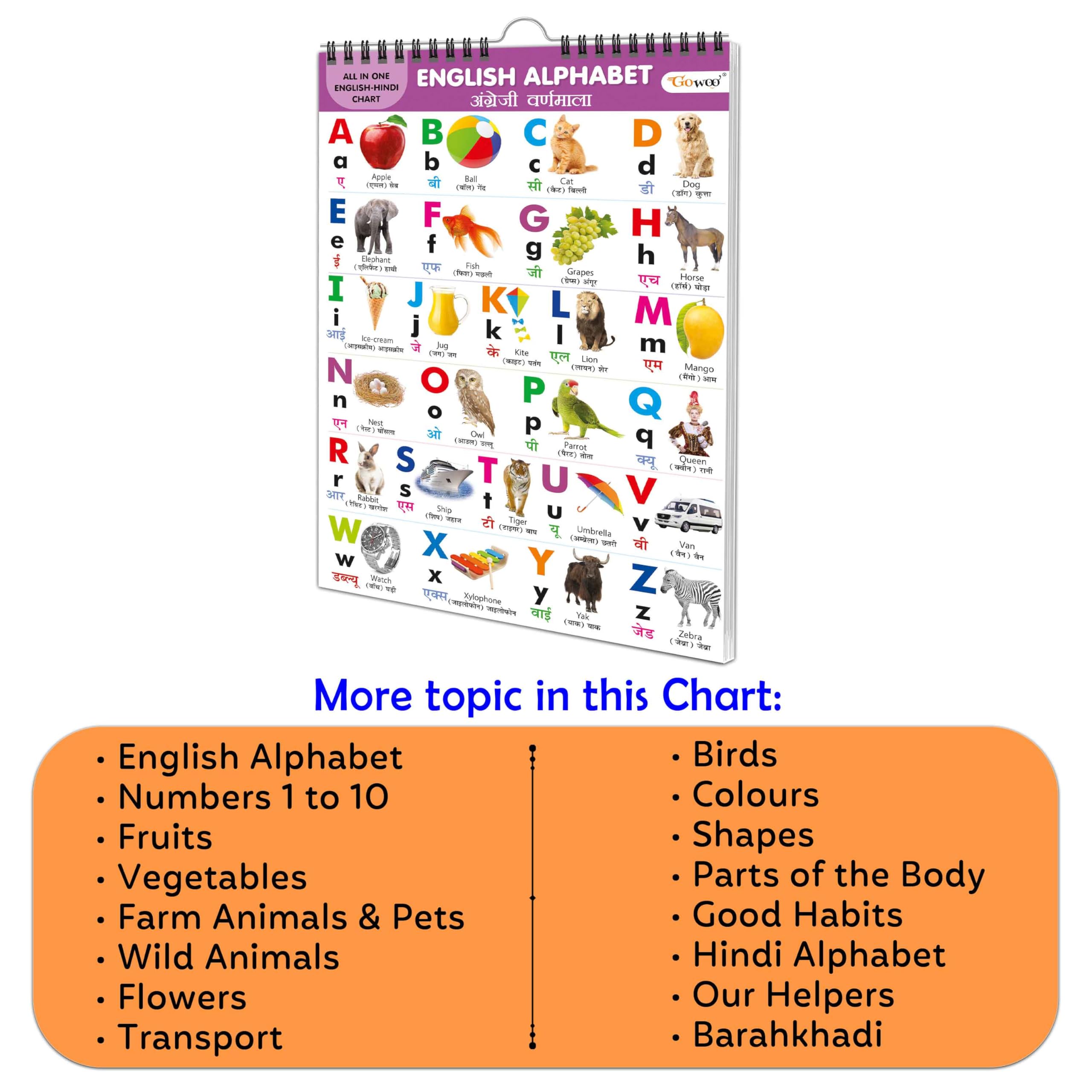 Chart Book Collections For Early Learning : Kids learning Chart book, ALL IN ONE SPIRAL CHART ENGLISHHINDI Kids Chart book co