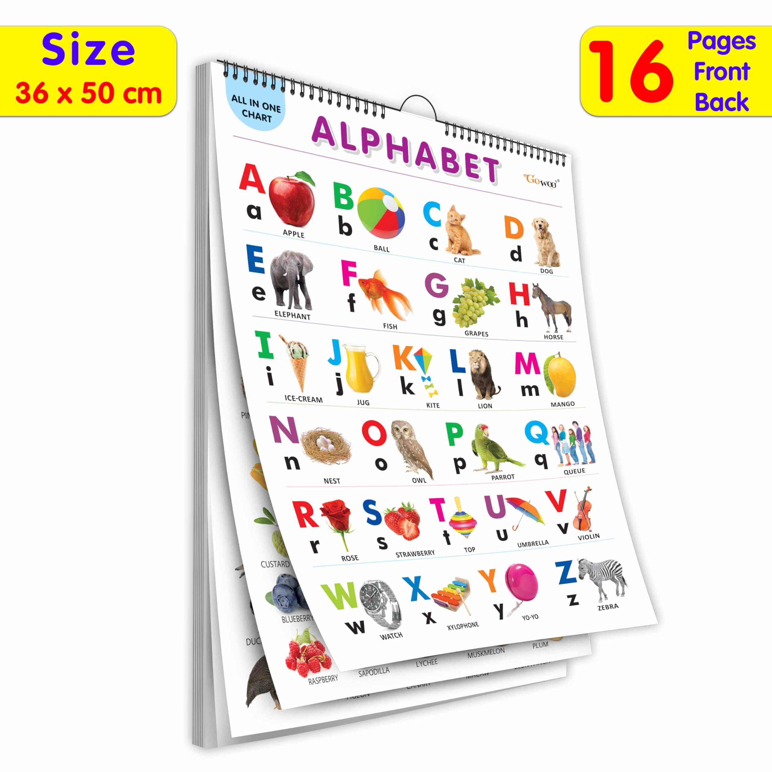 English Chart For Kids (16 Charts ) 36 x 50 cm  Children Spiral Wall Picture Chart