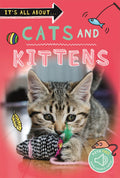 Its all about... Cats and Kittens