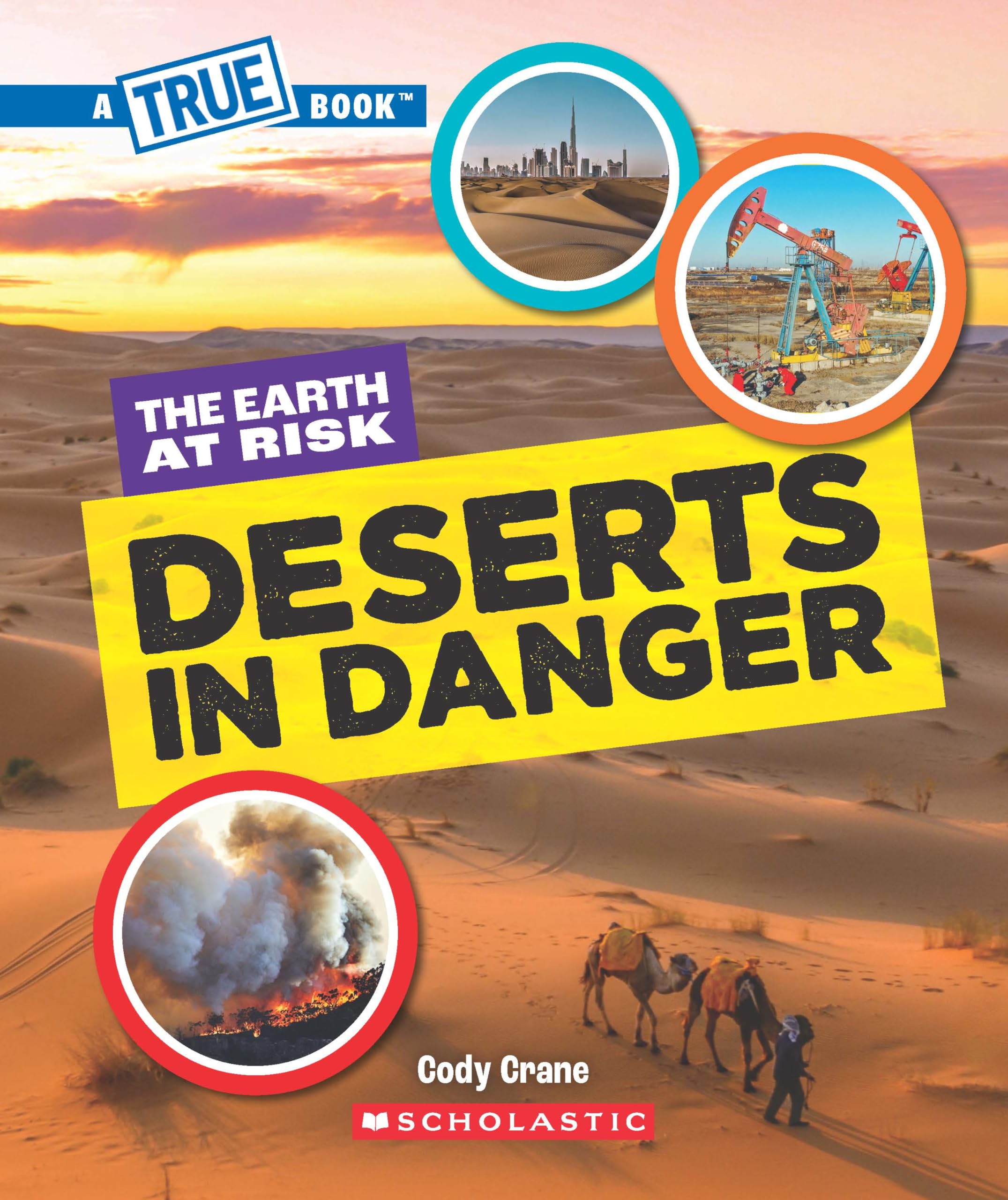 A True Book  The Earth at Risk: Deserts in Danger