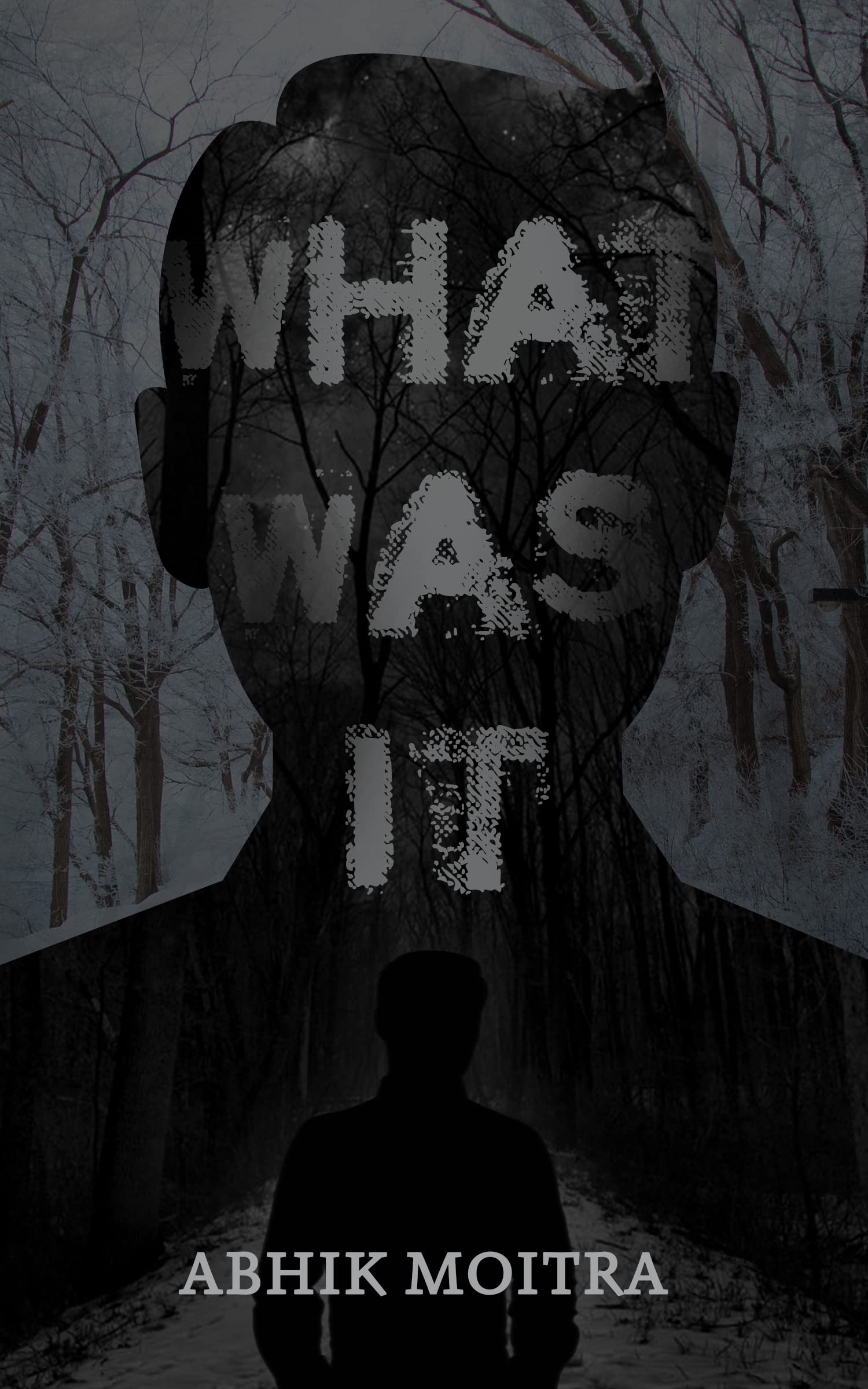 What Was It?