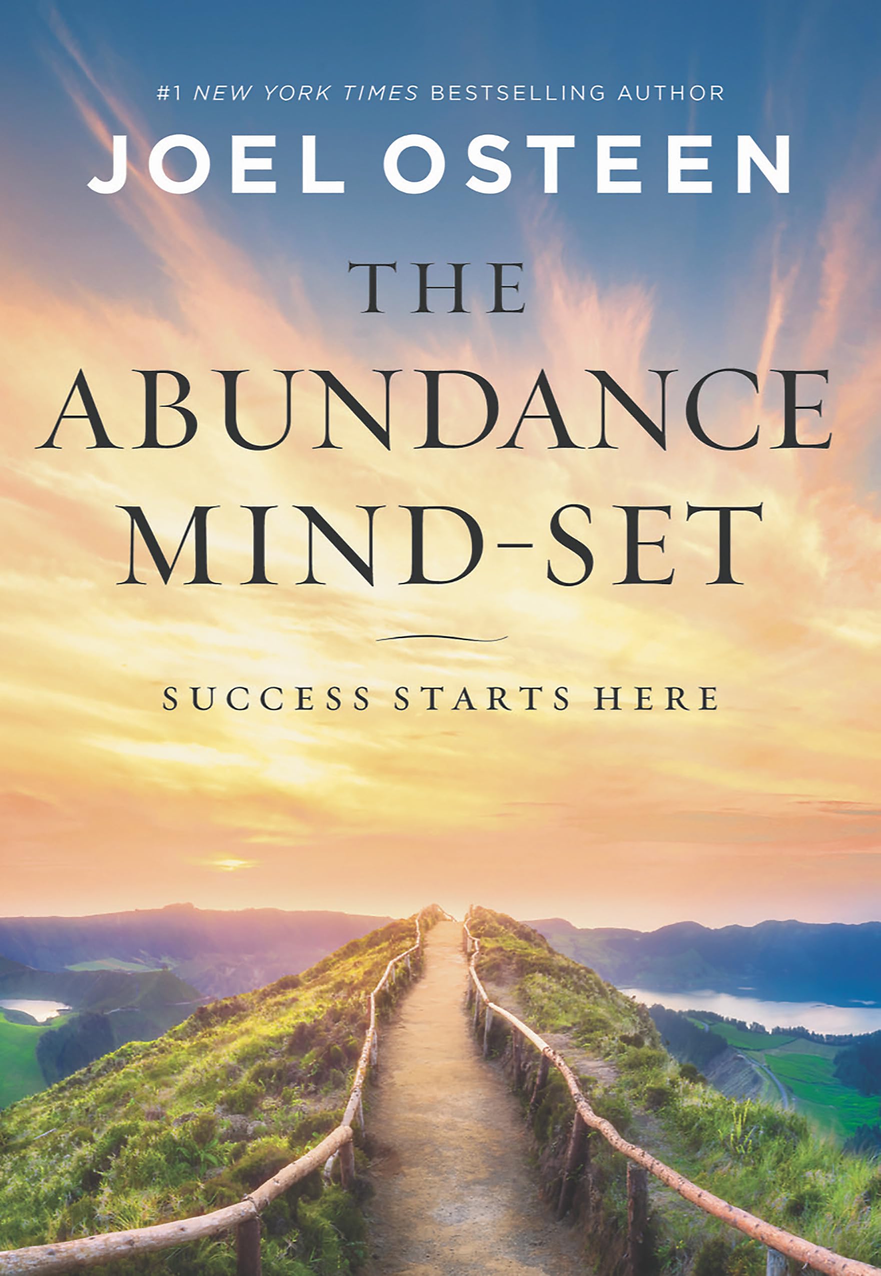 The Abundance MindSet: Success Starts Here