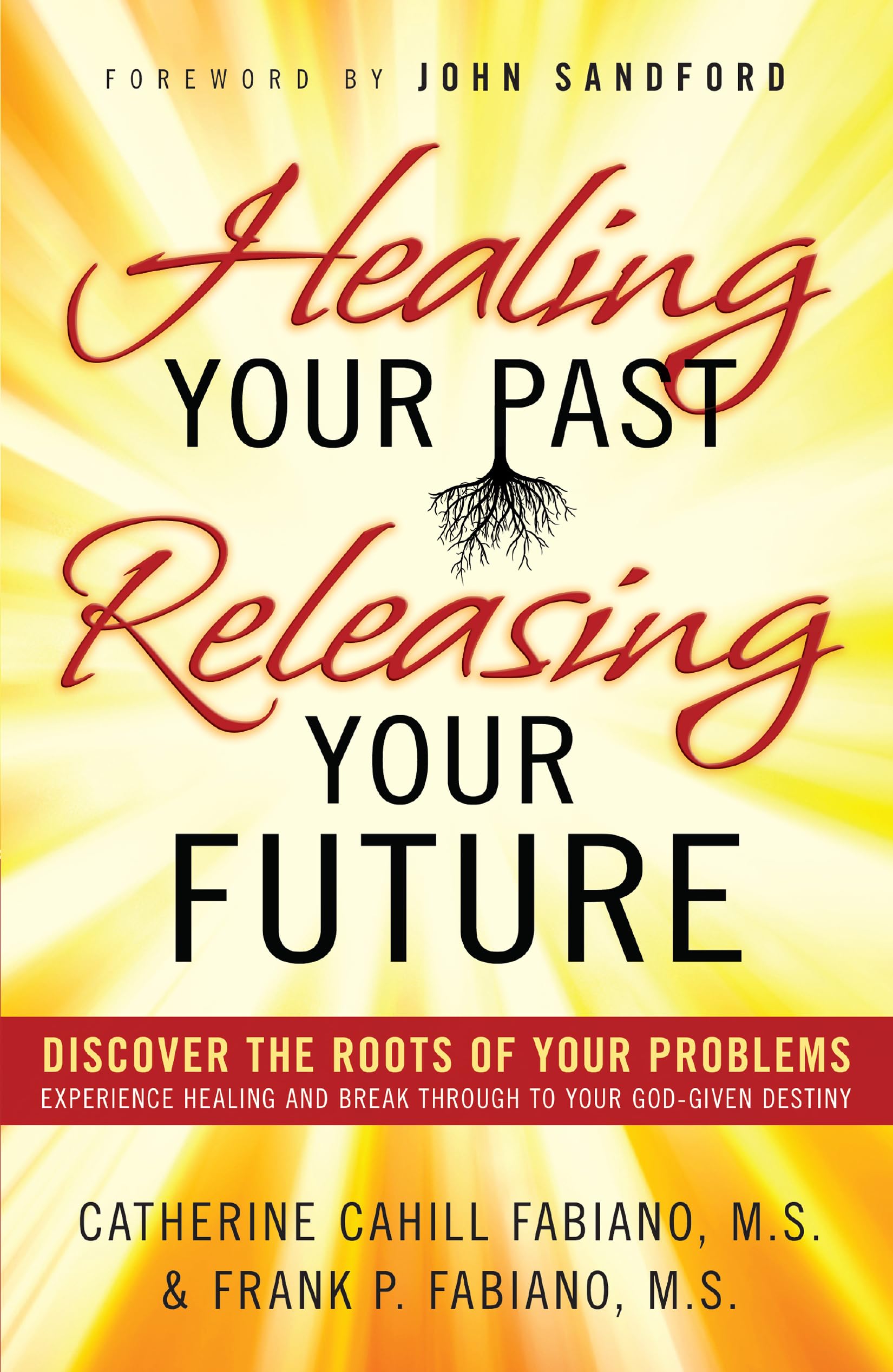 Healing Your Past, Releasing Your Future: Discover the Roots of Your Problems, Experience Healing and Breakthrough to Your Godg