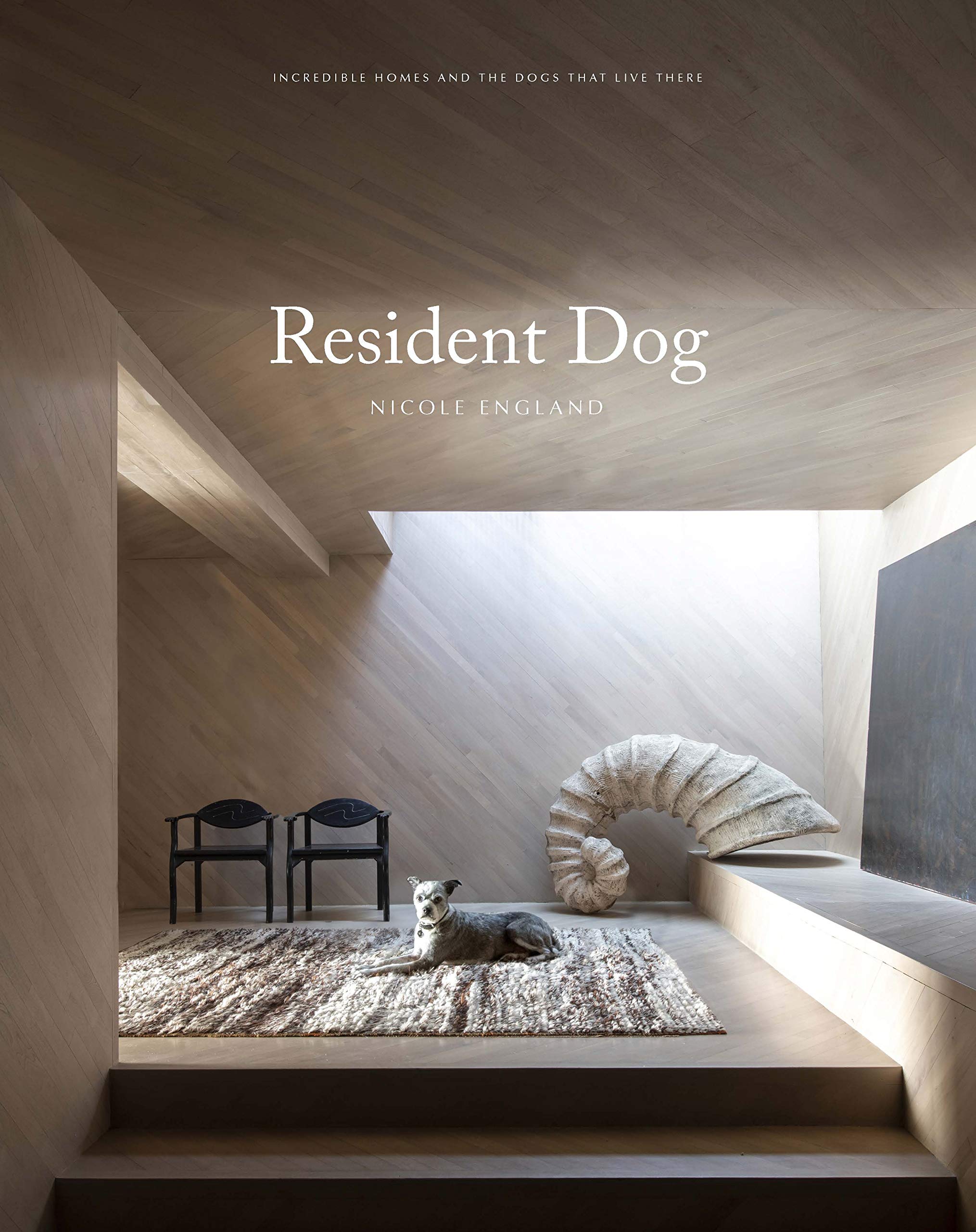 Resident Dog (Volume Two): Incredible Dogs and the International Homes They Live In