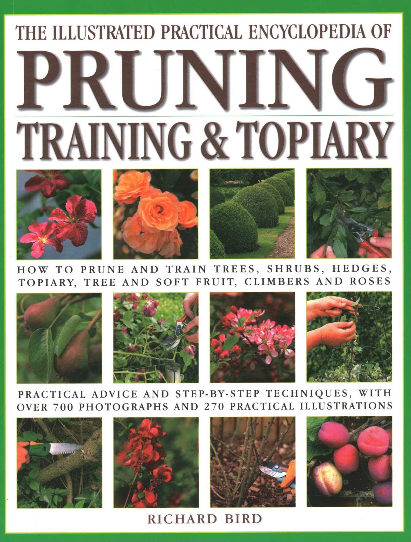 The Iltustrated Practical Encyclopedia of Pruning, Training and Topiary: How to Prune and Train Trees, Shrubs, Hedges, Topiary, 