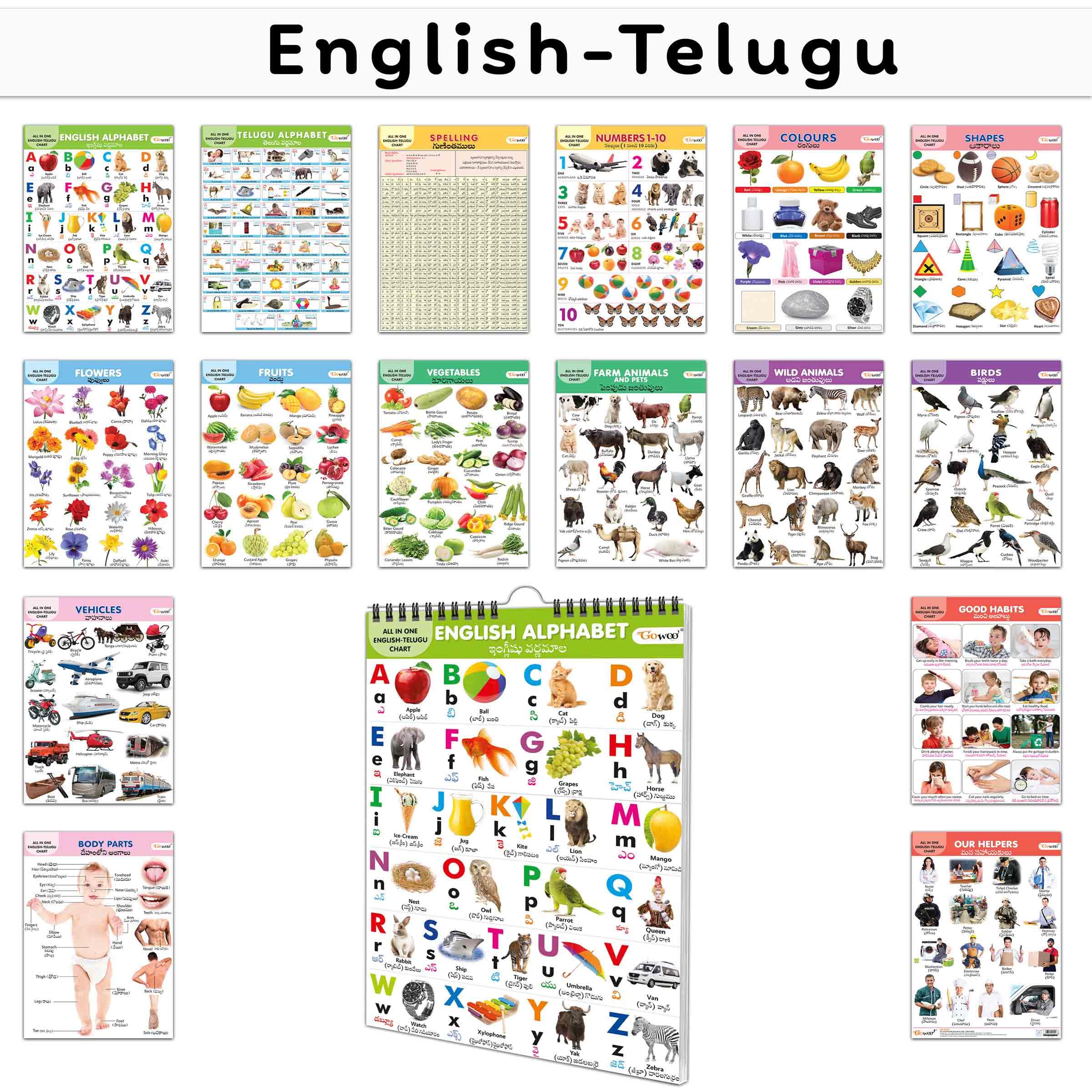 Essential Chart Of All In One : My First ALL IN ONE SPIRAL CHART ENGLISHTELUGU Educational Chart books for toddlers Collection 