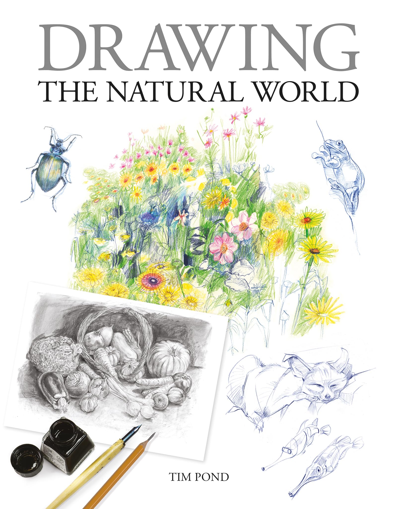 Drawing: The Natural World