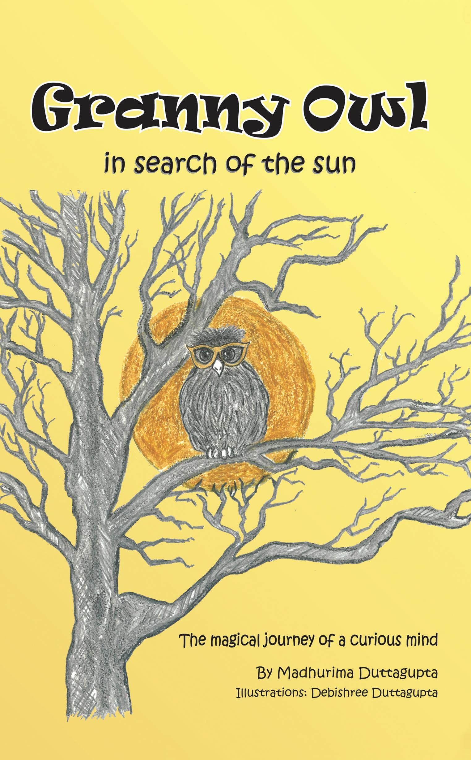 Granny Owl  in search of the sun: The magical journey of a curious mind