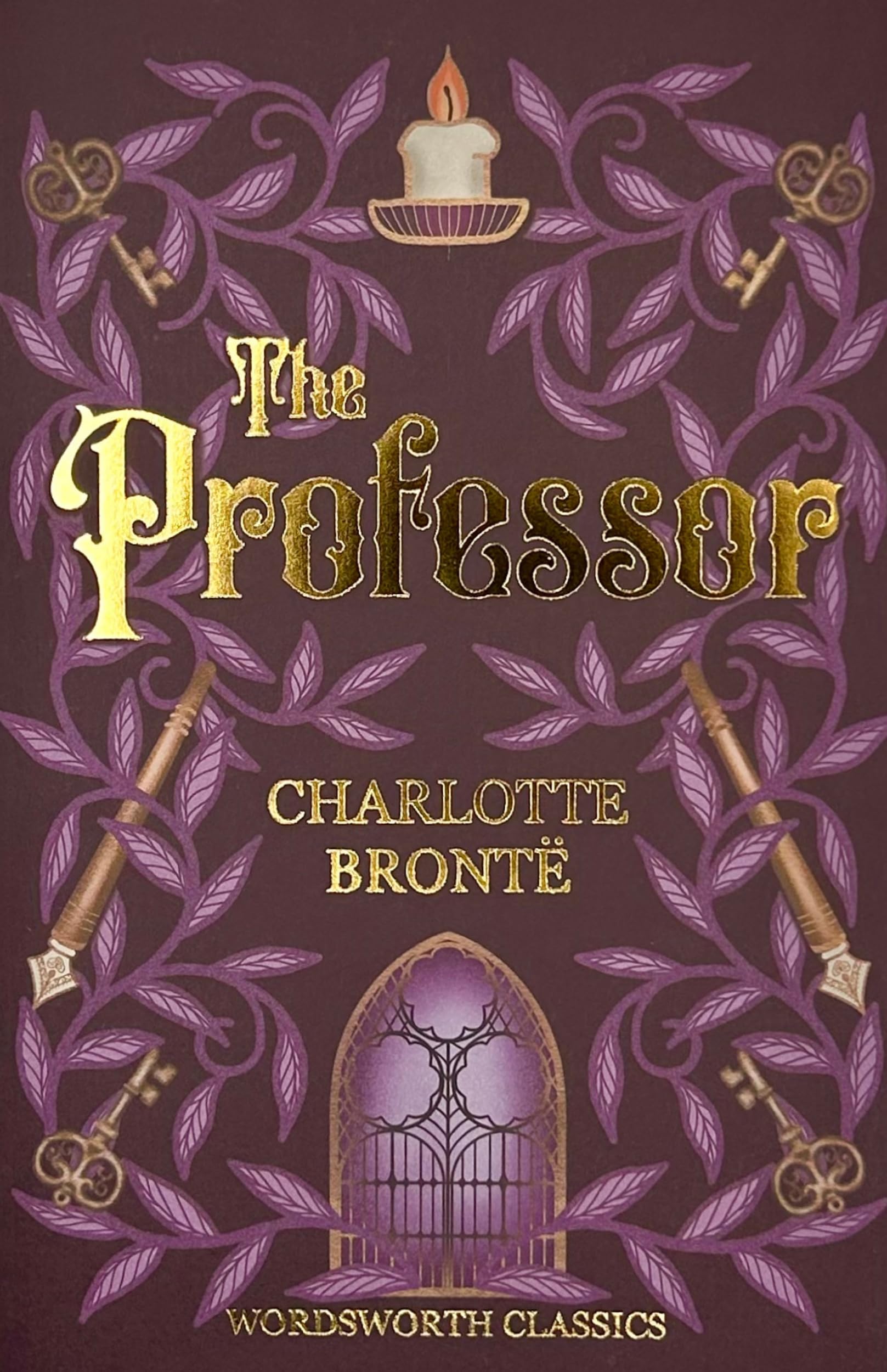 Professor (Wordsworth Classics)