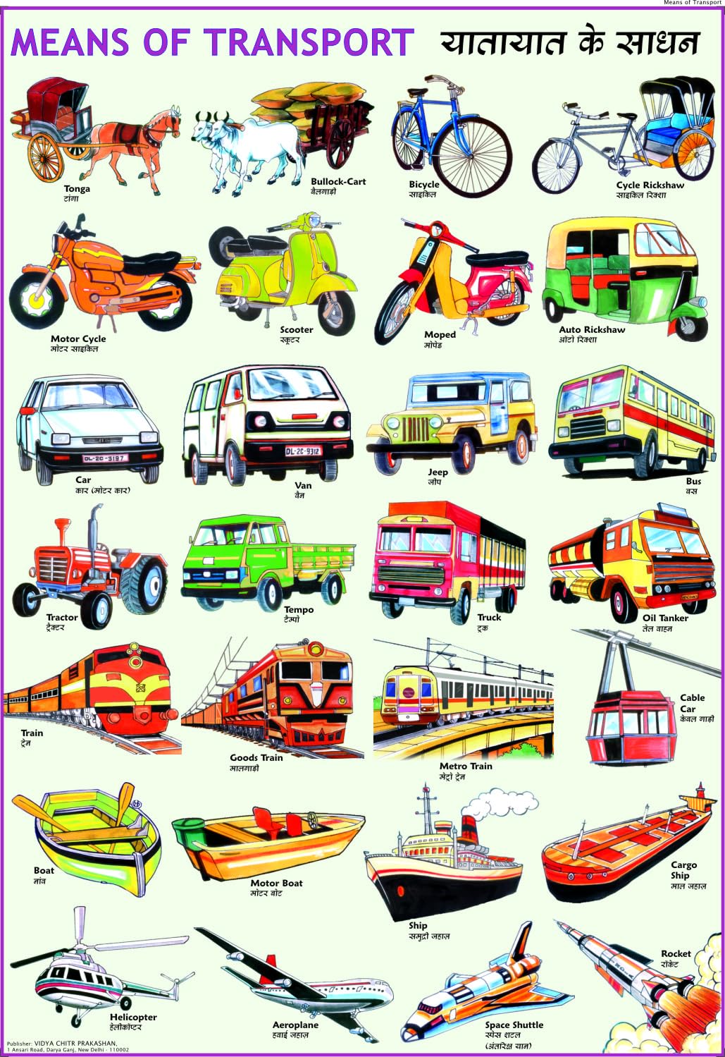 Means of Transport Chart for Kids | 70 x 100 cm | Laminated