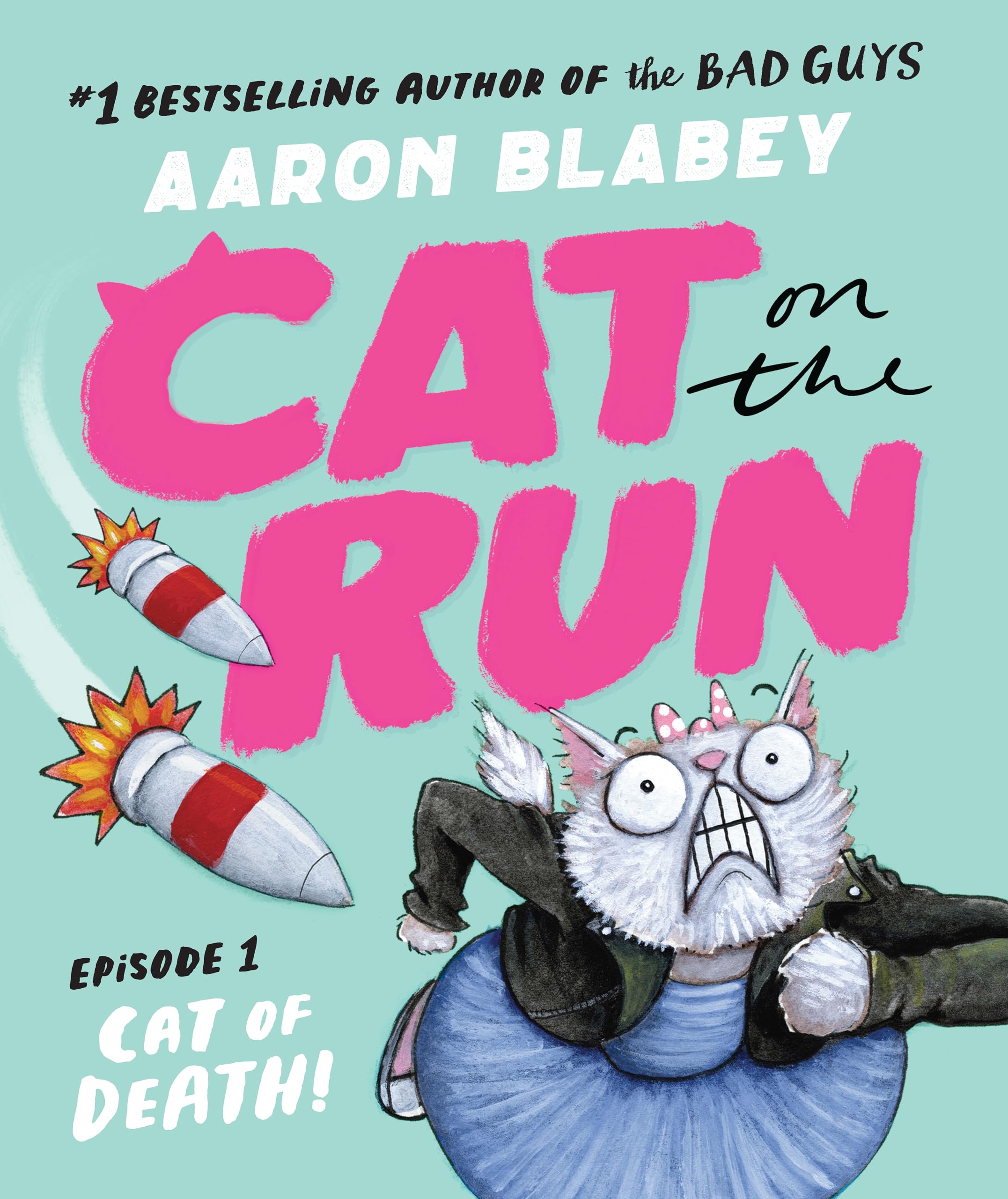 CAT ON THE RUN