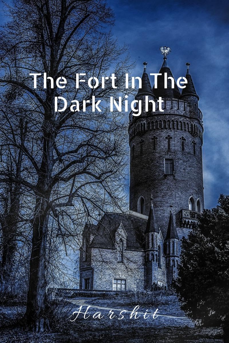 The Fort In The Dark Night
